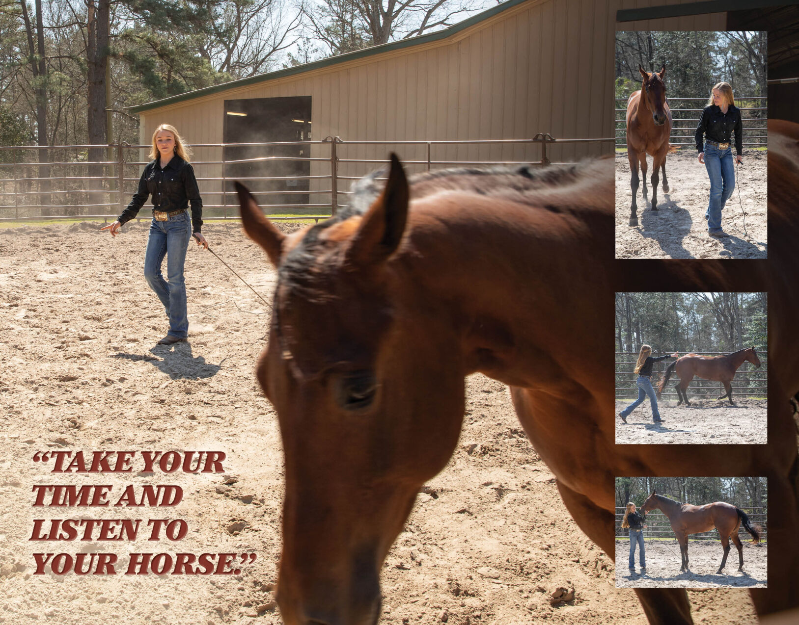 Horse Trainer